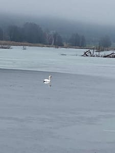 320437127 925576401789333 4010114189371430959 n